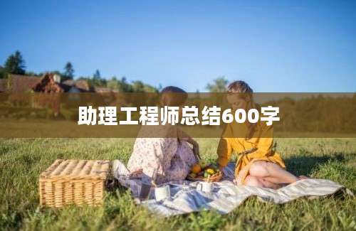 助理工程师总结600字