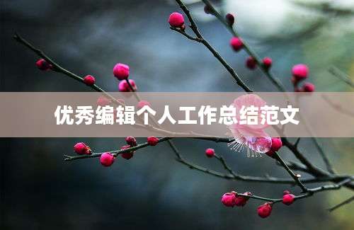 优秀编辑个人工作总结范文