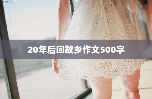 20年后回故乡作文500字