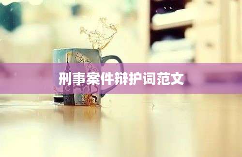 刑事案件辩护词范文