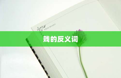 贱的反义词