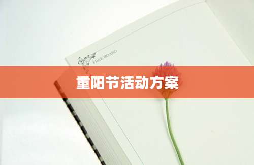 重阳节活动方案