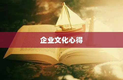 企业文化心得