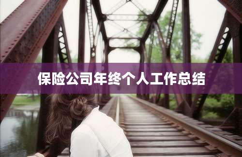保险公司年终个人工作总结