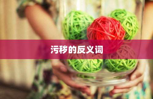 污秽的反义词
