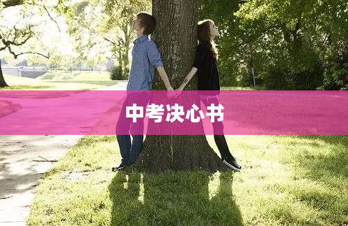 中考决心书