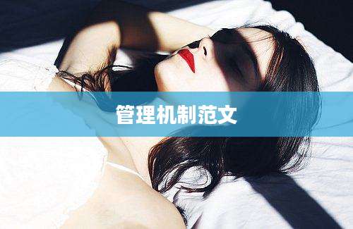 管理机制范文