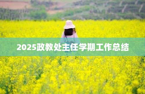2025政教处主任学期工作总结