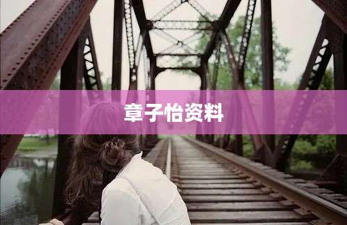 章子怡资料