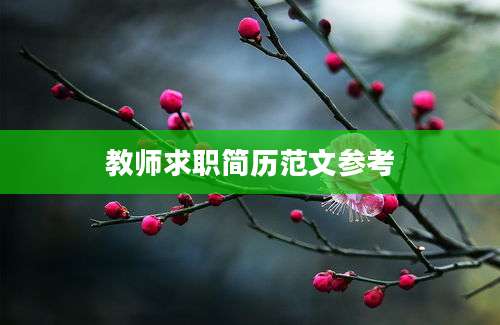 教师求职简历范文参考