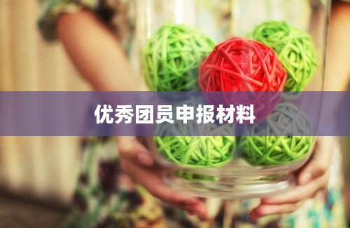 优秀团员申报材料