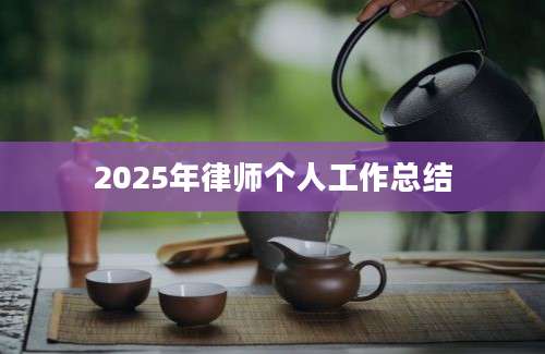 2025年律师个人工作总结