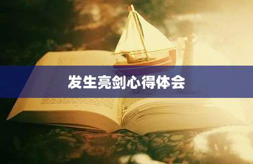 发生亮剑心得体会