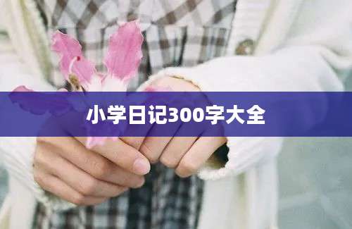 小学日记300字大全