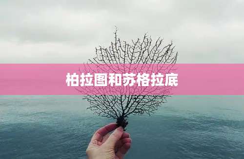 柏拉图和苏格拉底