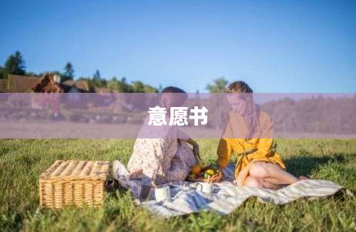 意愿书