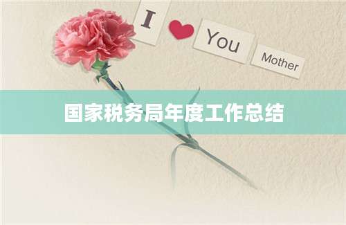 国家税务局年度工作总结