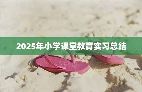 2025年小学课堂教育实习总结