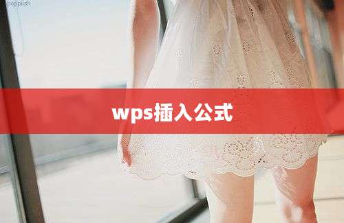 wps插入公式