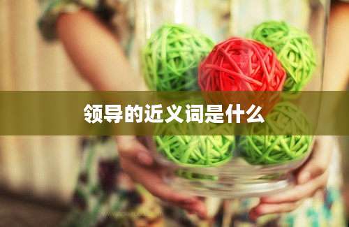 领导的近义词是什么