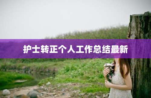 护士转正个人工作总结最新