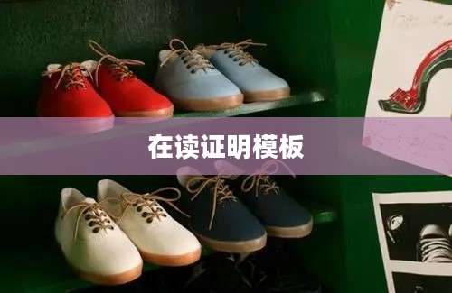 在读证明模板