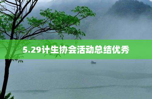 5.29计生协会活动总结优秀