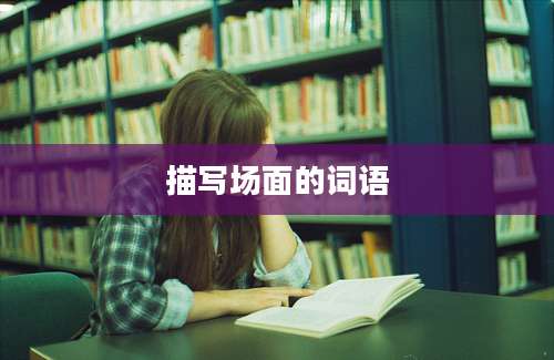 描写场面的词语