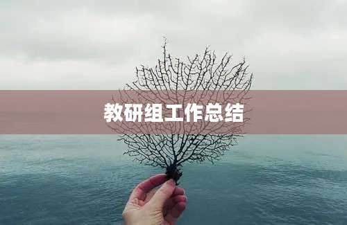 教研组工作总结