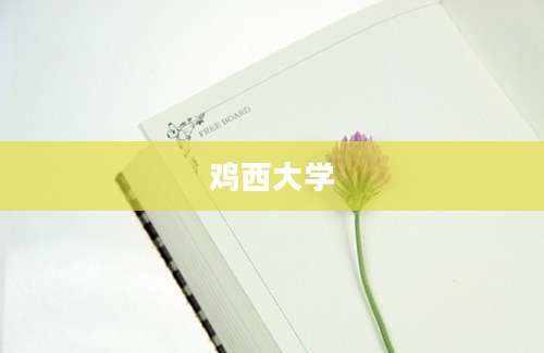 鸡西大学