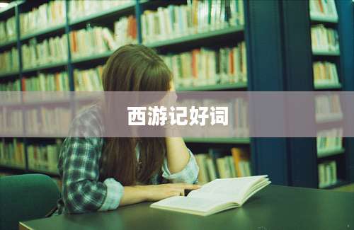 西游记好词