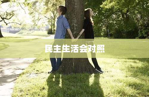 民主生活会对照