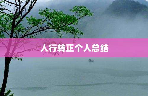 人行转正个人总结