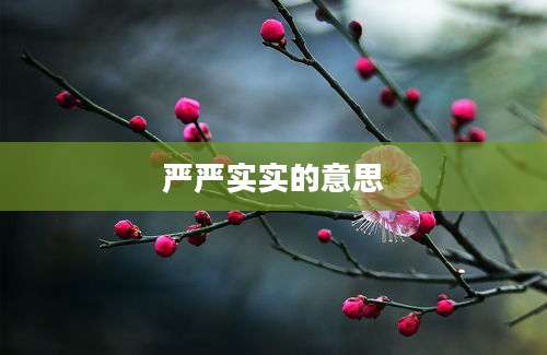 严严实实的意思