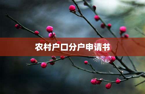 农村户口分户申请书