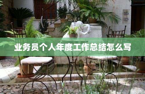 业务员个人年度工作总结怎么写