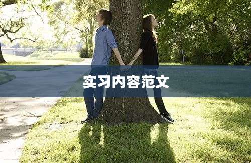 实习内容范文