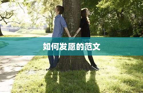 如何发愿的范文