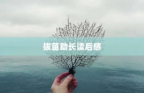 拔苗助长读后感