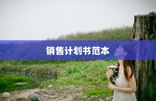 销售计划书范本