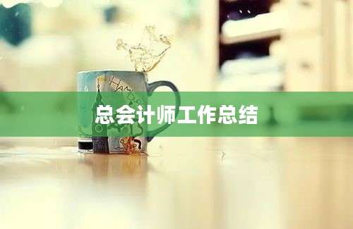 总会计师工作总结