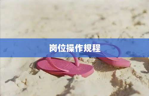 岗位操作规程