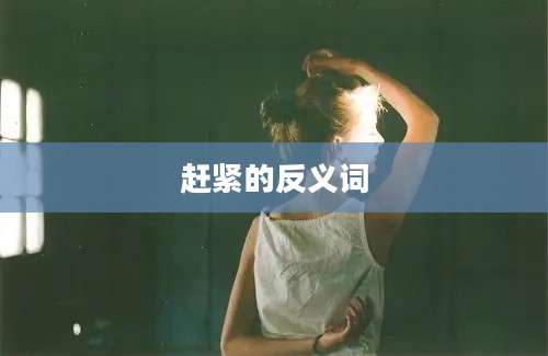 赶紧的反义词