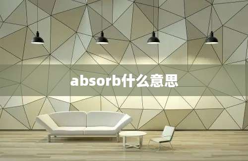 absorb什么意思