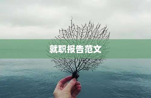 就职报告范文