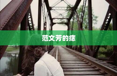 范文芳的痣