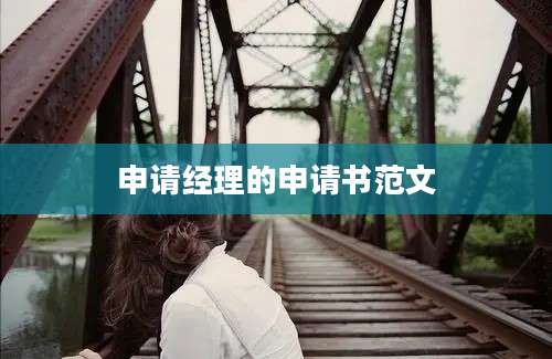 申请经理的申请书范文