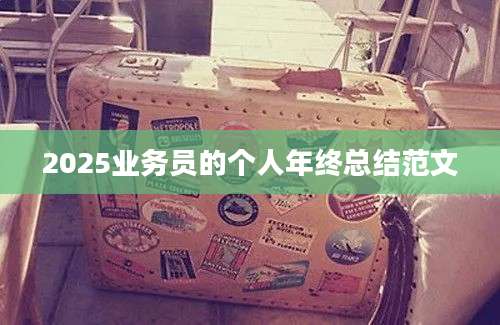 2025业务员的个人年终总结范文