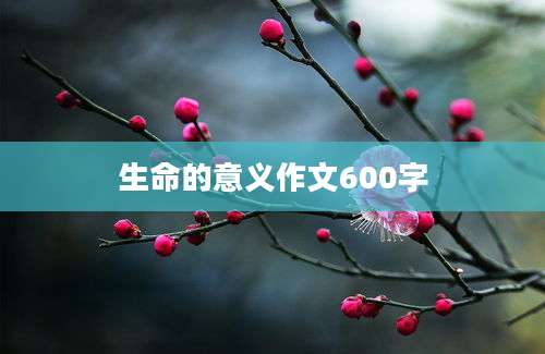 生命的意义作文600字