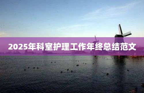2025年科室护理工作年终总结范文
